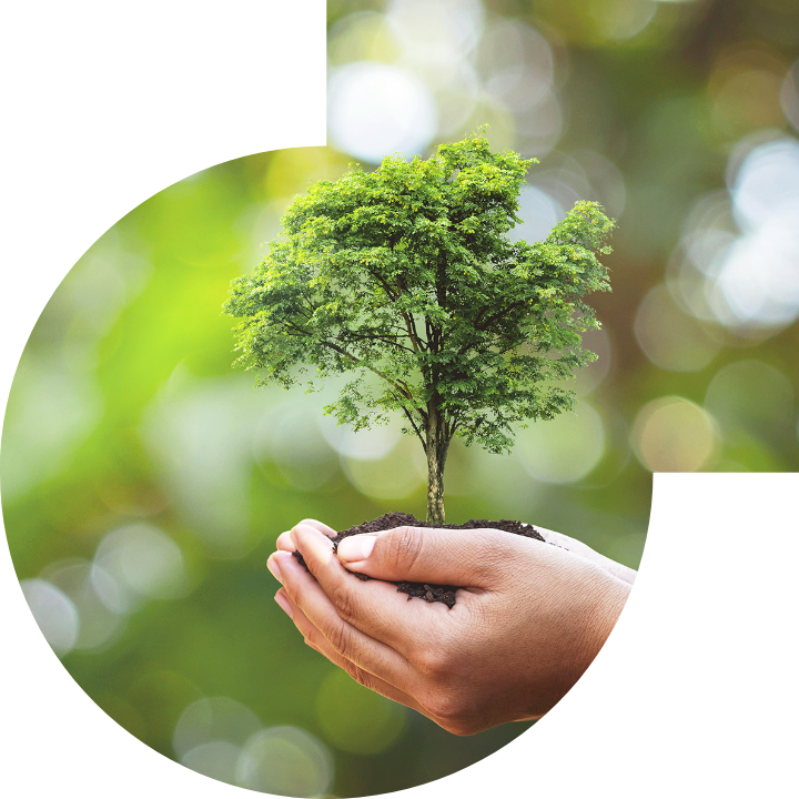 关怀人类、文化、环境与社会